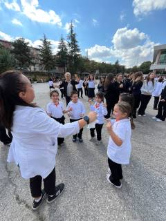 Evrensel Kolej